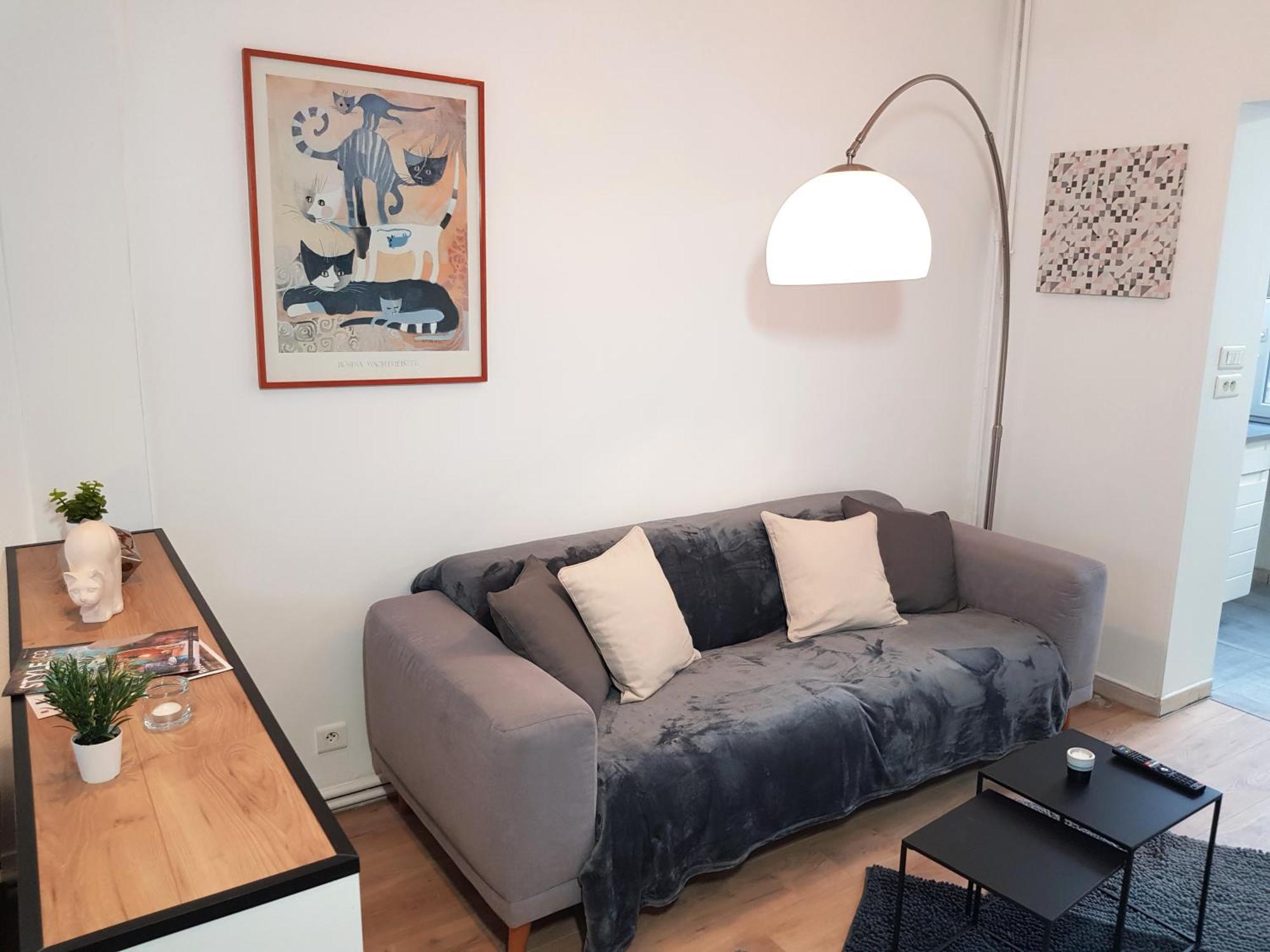 Le Chat D'Or - 35M2 - Terrasse - Bbq - Wifi Hd Amiens Eksteriør bilde